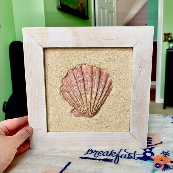 3D Wall Hanging Nautical Coastal Seashell Framed Home Decor Display - Picture 3 of 6
